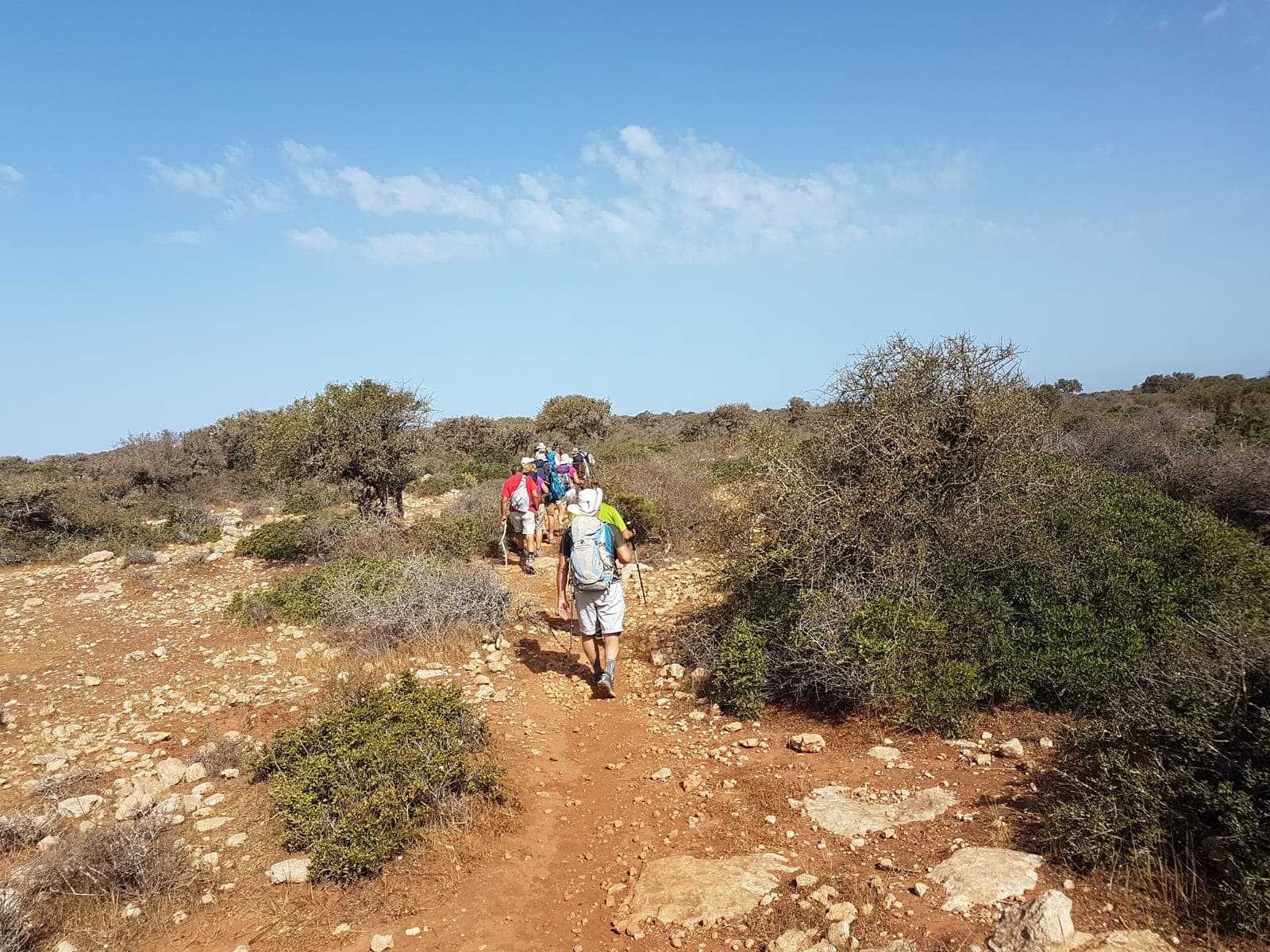 Our trekkers on a stony trail through argan woodland above the Atlantic coast, Morocco