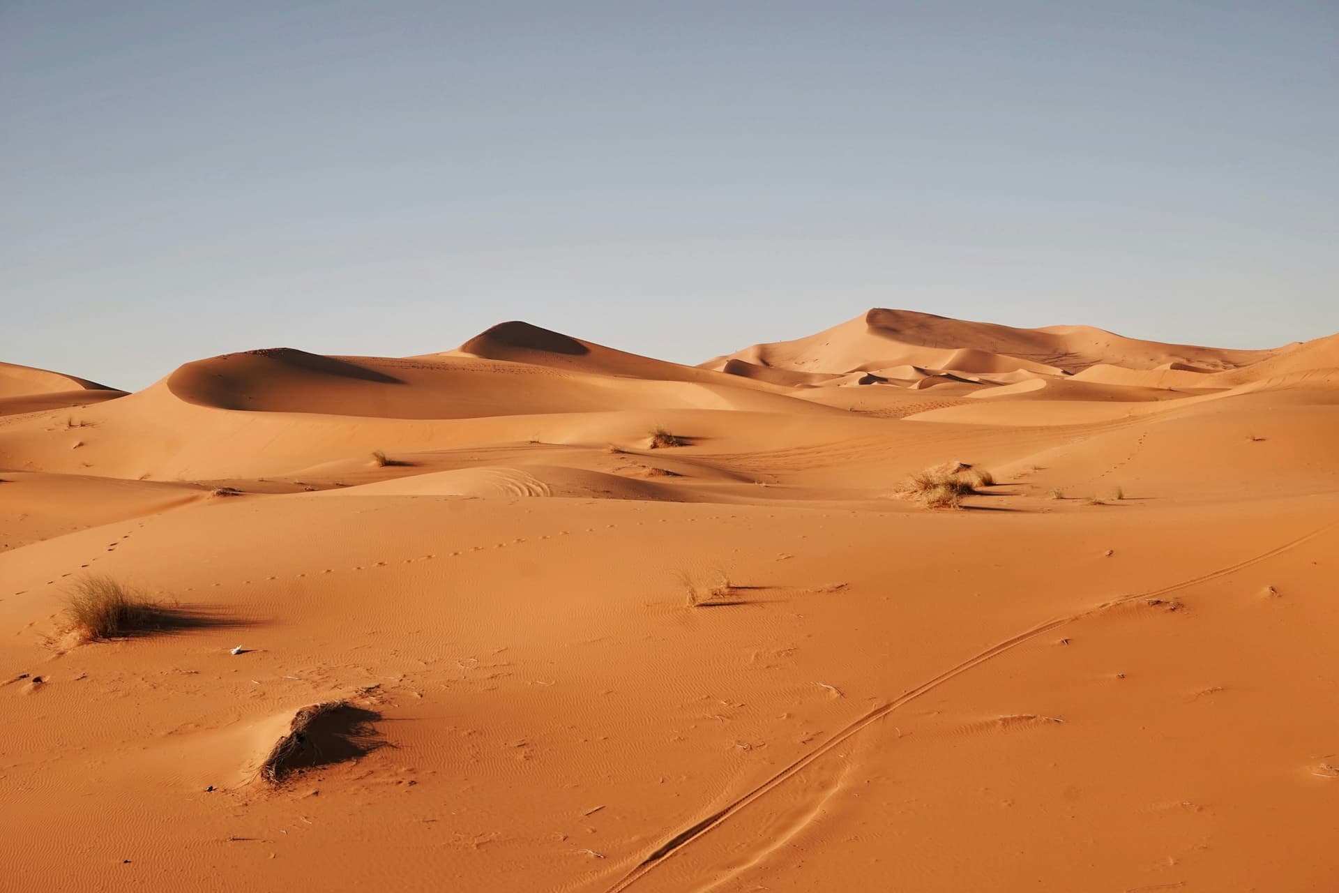 What a Morocco Desert Tour Really Costs (and Why the Cheap Ones Are Cheap)