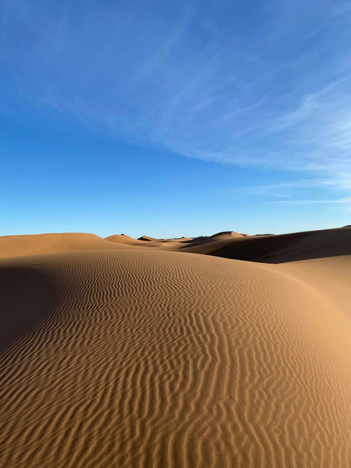 Can You Visit the Sahara From Agadir? Yes, With Caveats