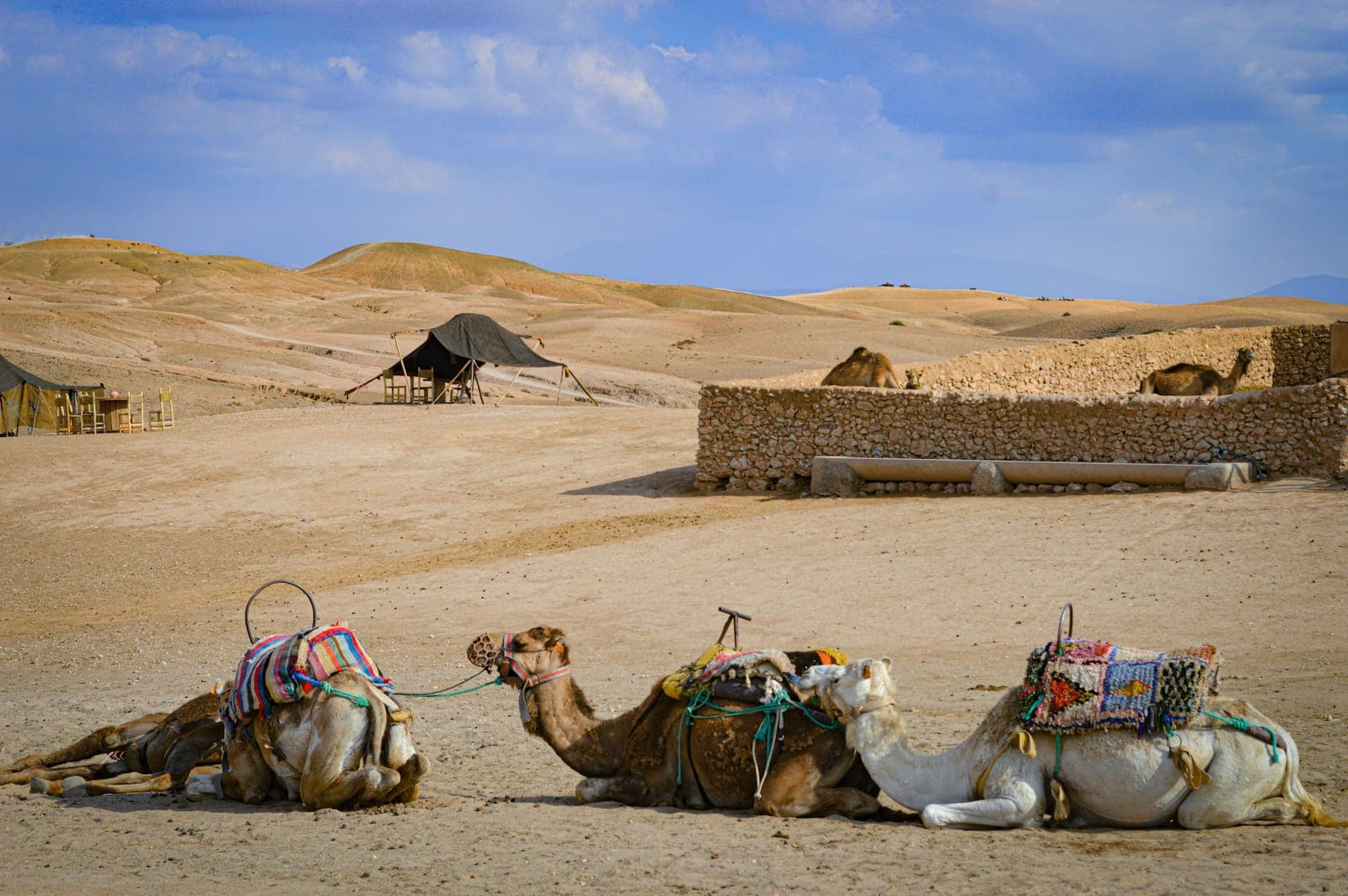 What to Pack for a Morocco Desert Tour