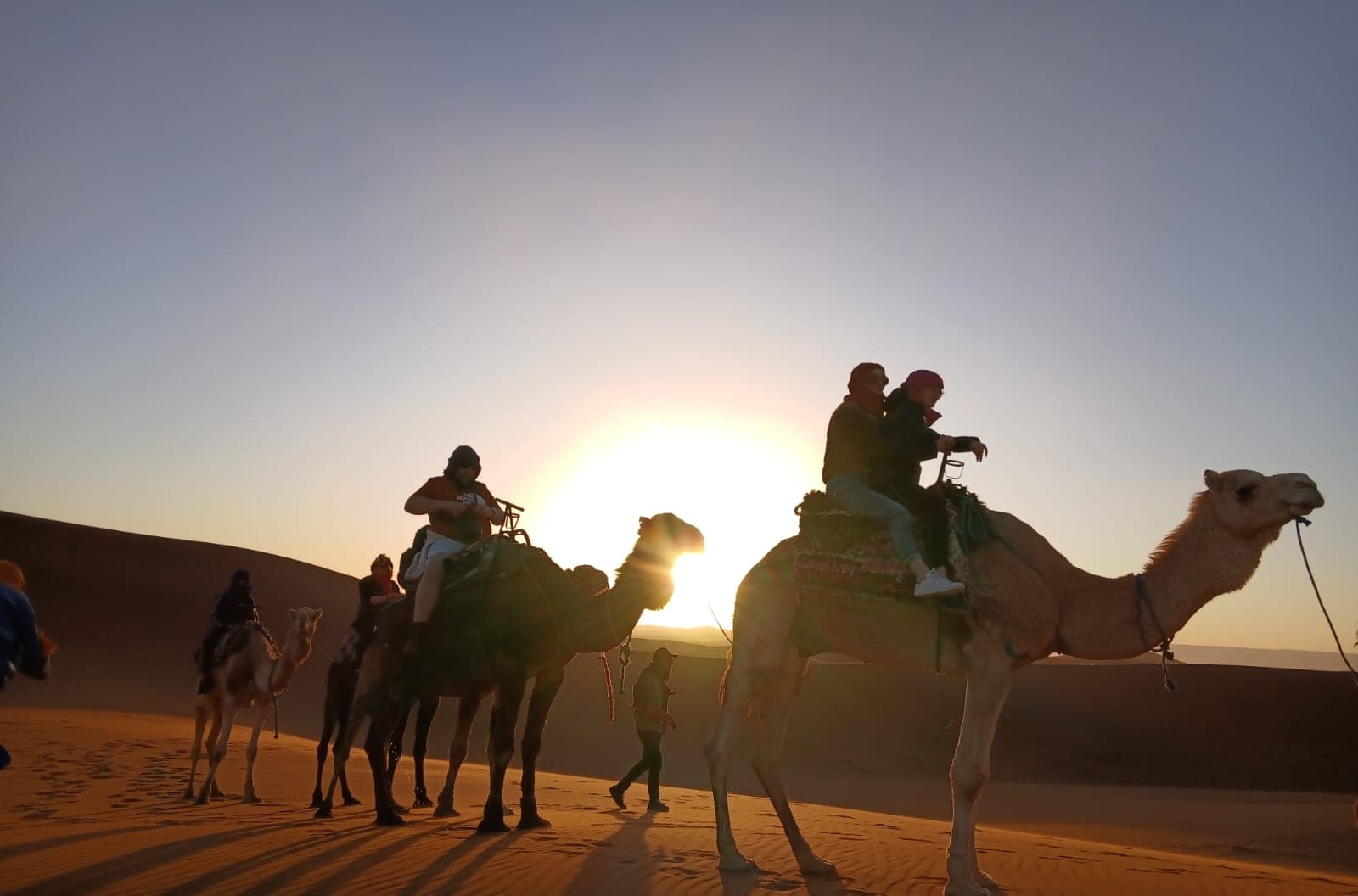 Our guests riding the camel caravan into the sunset across the Erg Chebbi dunes, Merzouga Morocco