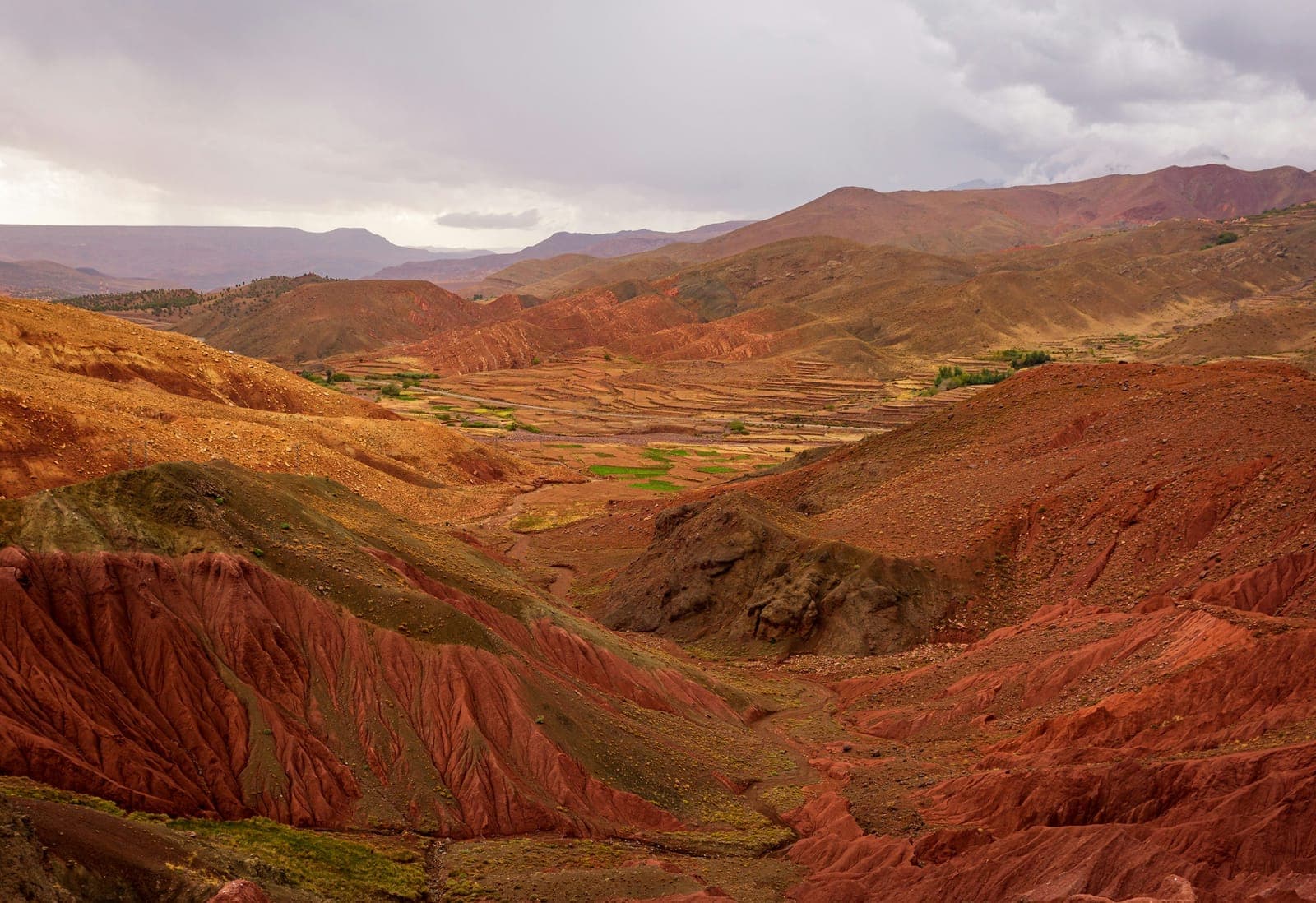 Ourika Valley Day Trip from Marrakech: The Complete Guide