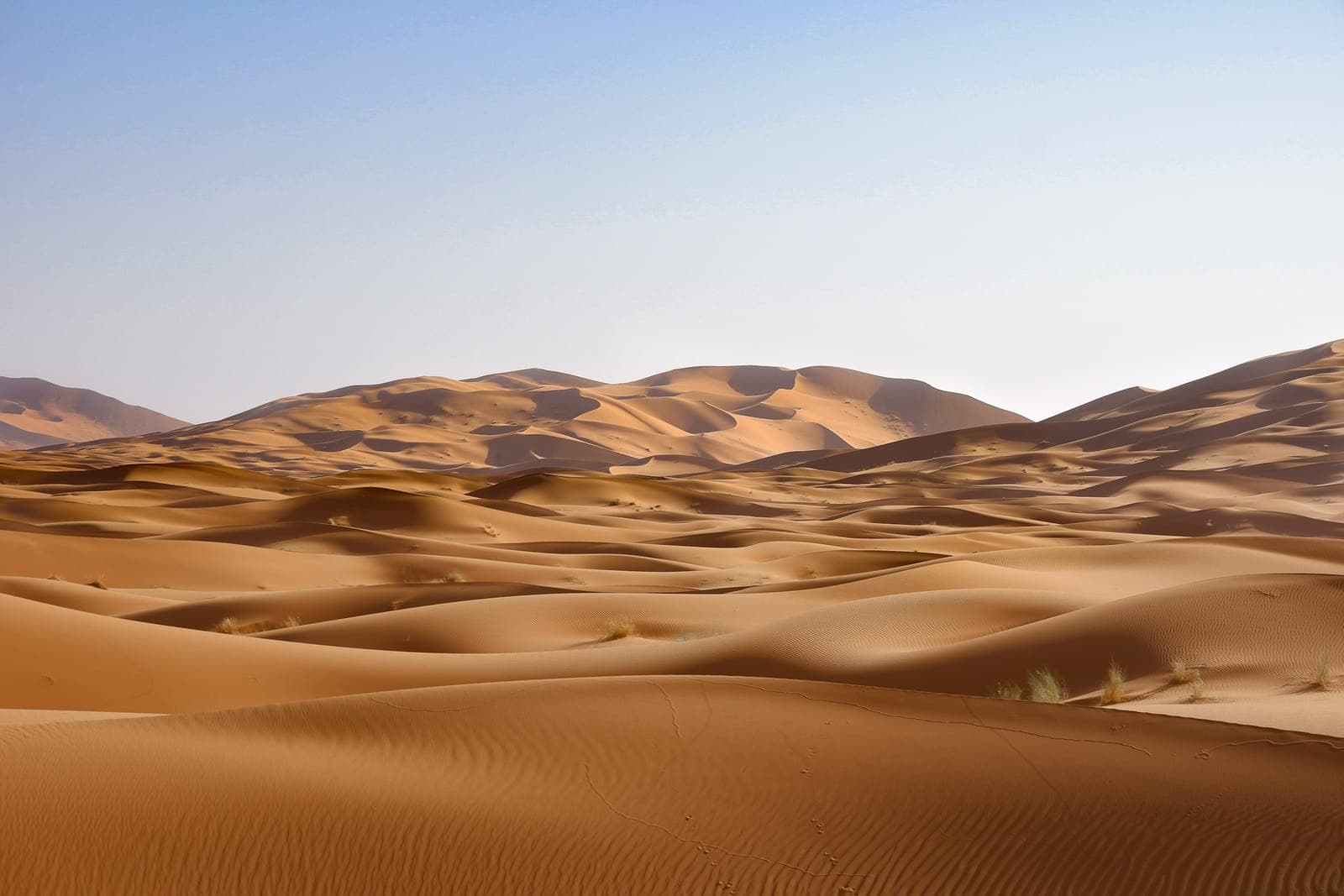 Desert Tours