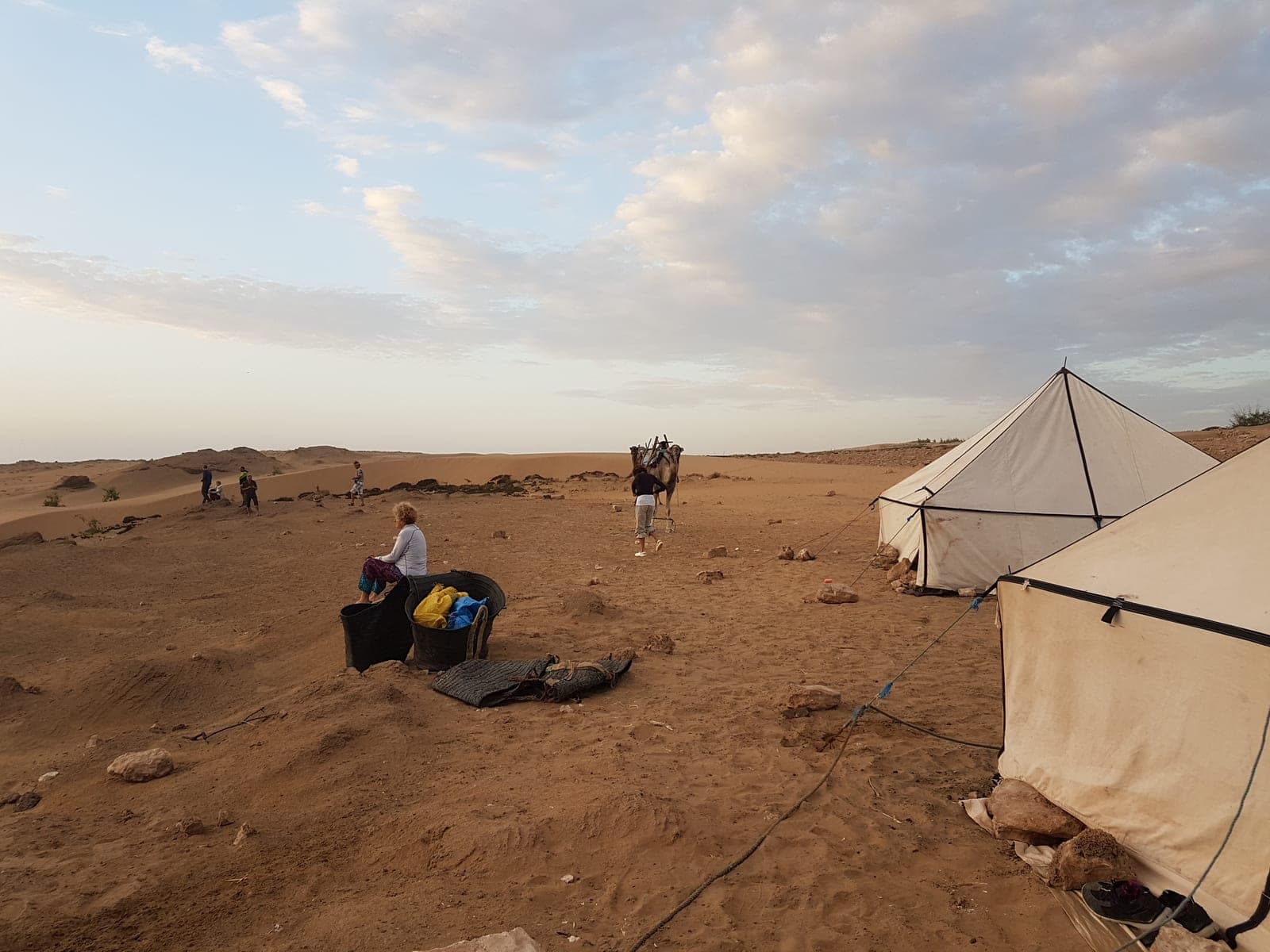 Our tents pitched among coastal dunes at dusk as the camels are unloaded, Morocco