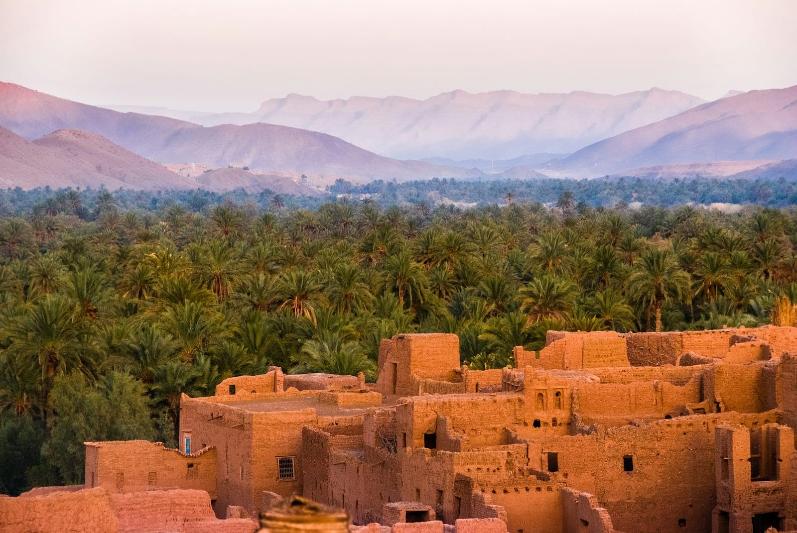 Skoura Oasis: A Palm Grove Full of Kasbahs