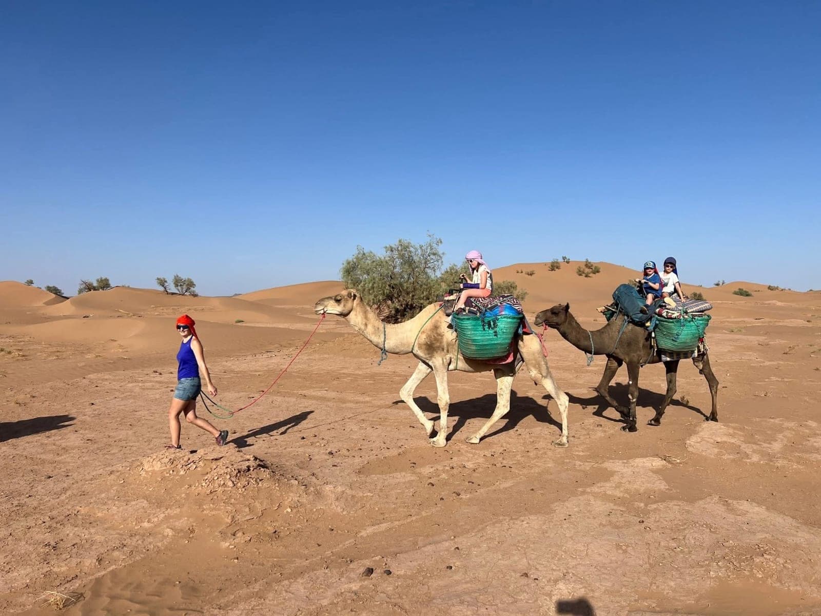 What Does a Family Desert Tour in Morocco Cost? (2026)