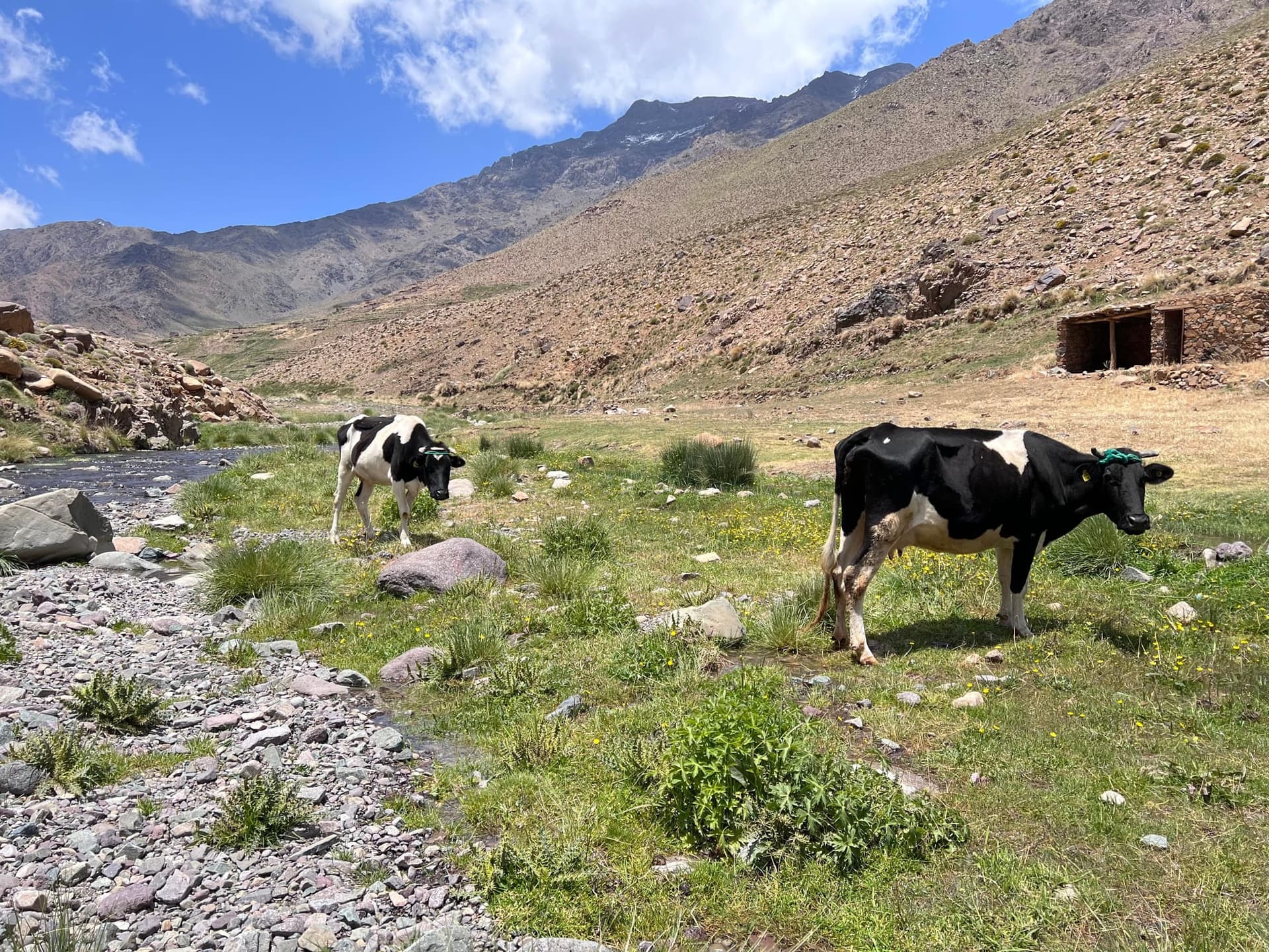 Alto Atlante in famiglia da Marrakech — Trekking dolce di 4 giorni
