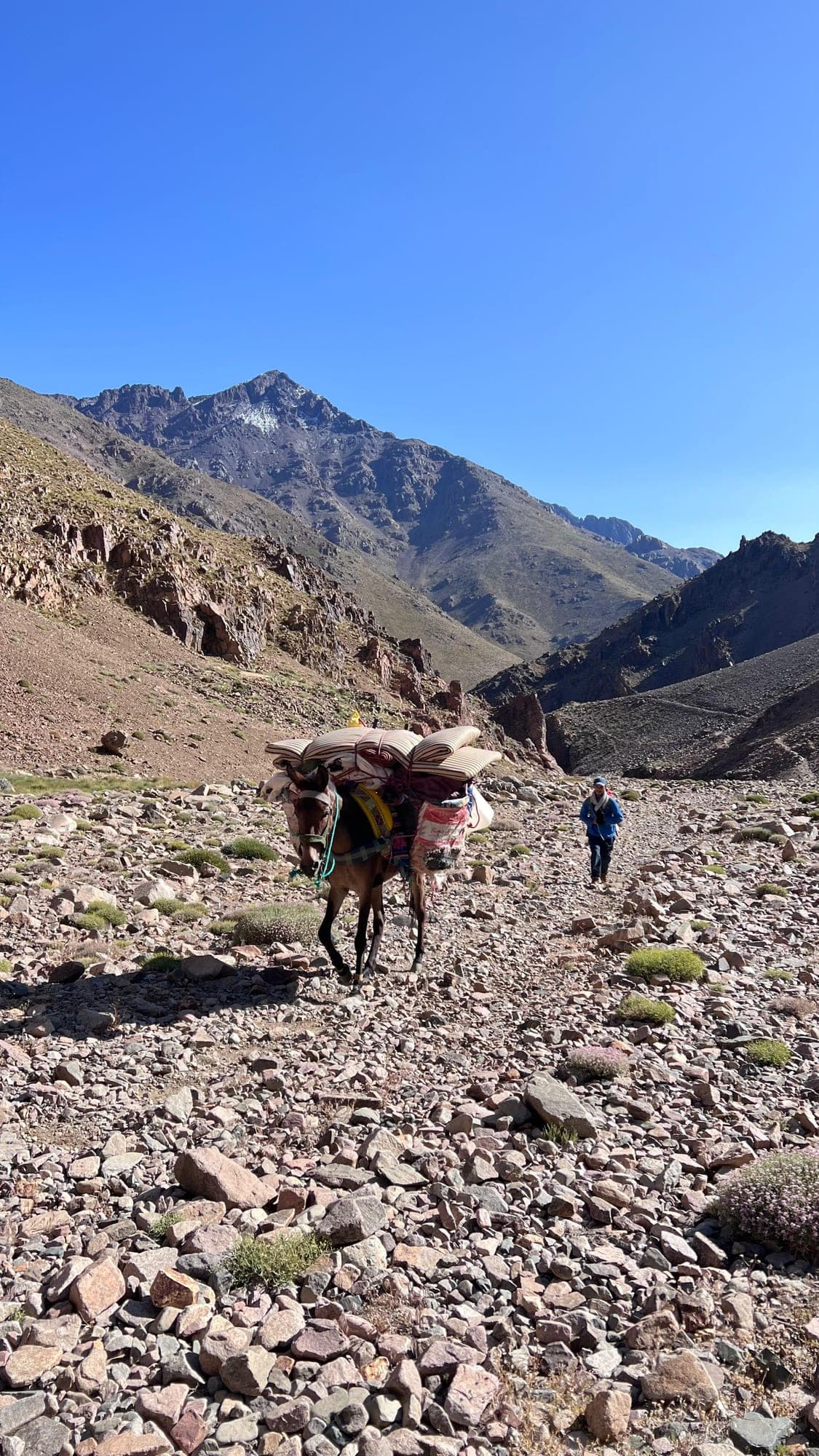 Azzaden-Tal ab Marrakesch — 2-Tage-Trek im Atlasgebirge — trekking tour from Marrakech, Morocco (photo 3)