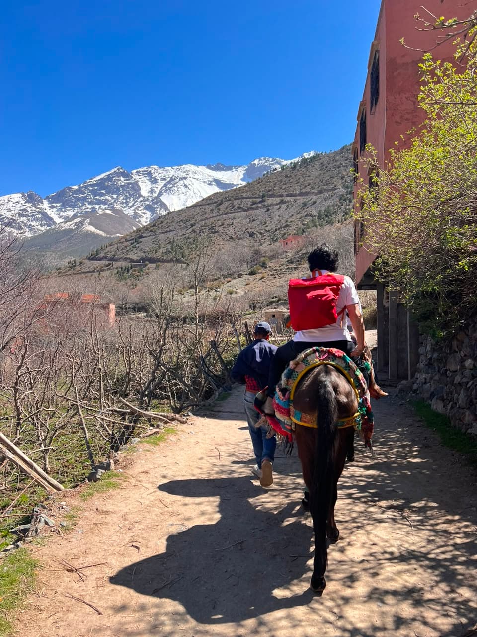 Riding the mule trail out of Imlil with the snow-covered Toubkal ridge behind, Morocco