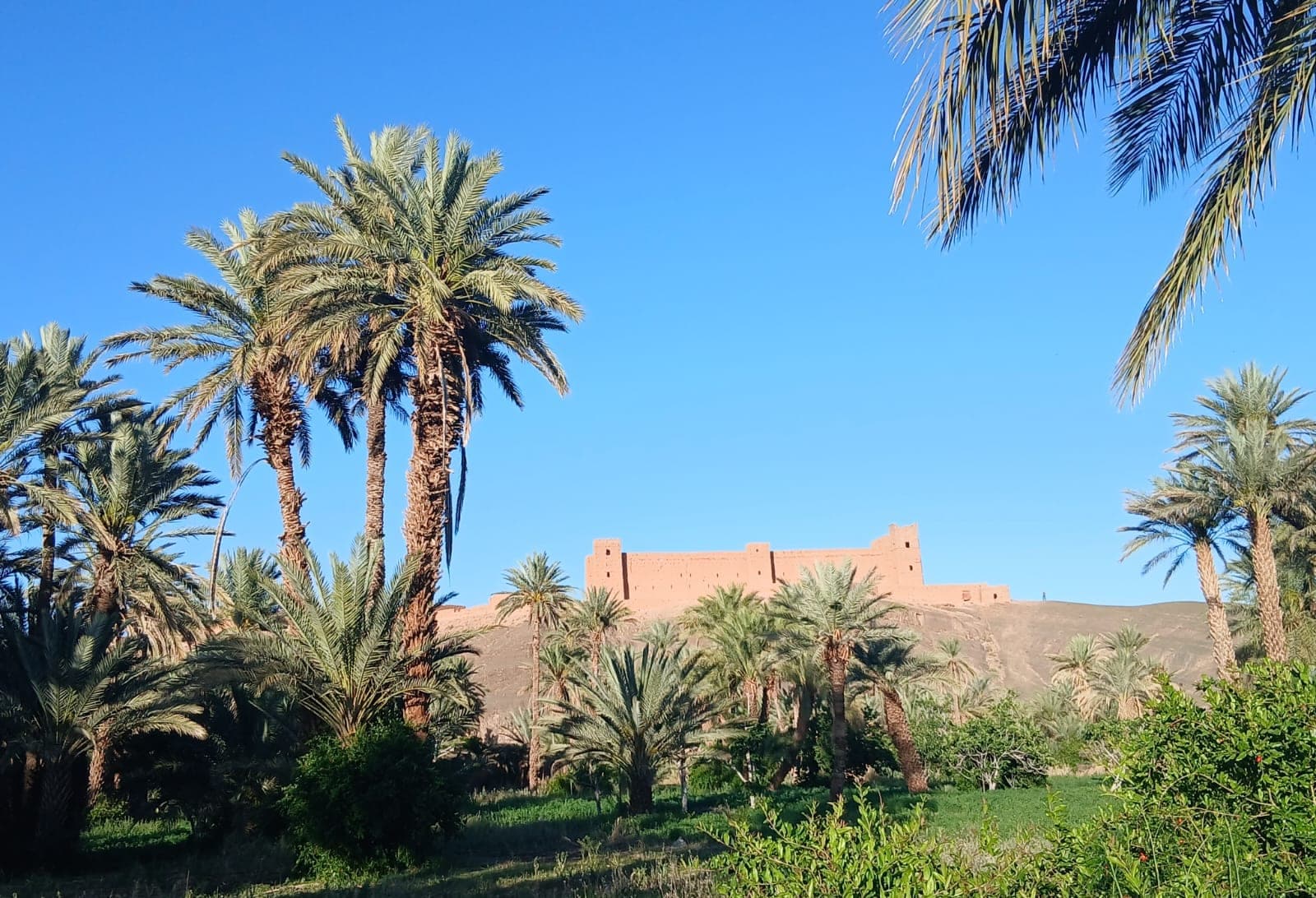 Rose Festival, Kelaat M'Gouna