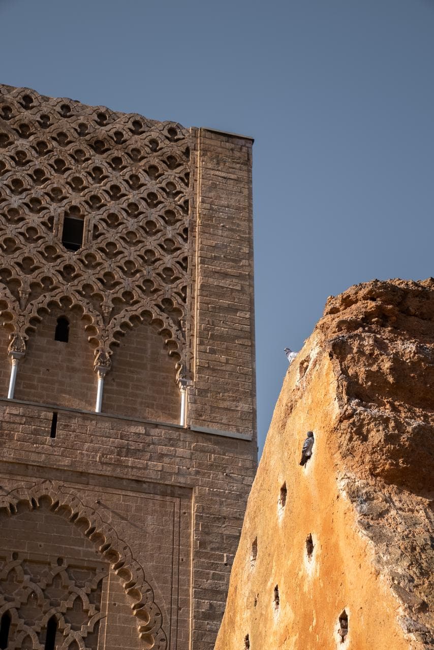The carved stone lattice of the Hassan Tower beside the eroded ochre wall of the ruined mosque, pigeons roosting in its nesting holes, Rabat Morocco