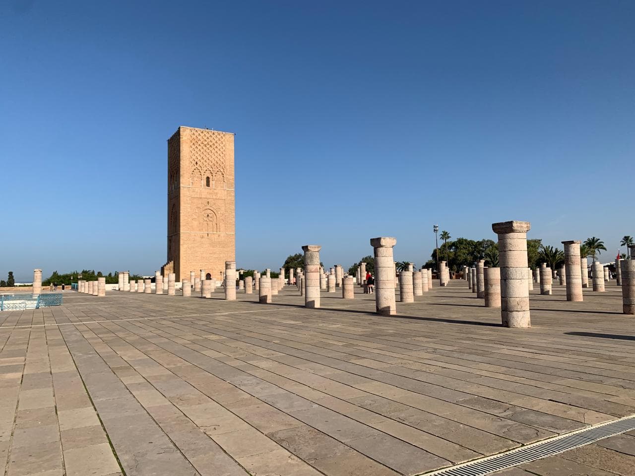 The unfinished Hassan Tower minaret rising above the ranks of stone column stumps left by the abandoned mosque, Rabat Morocco