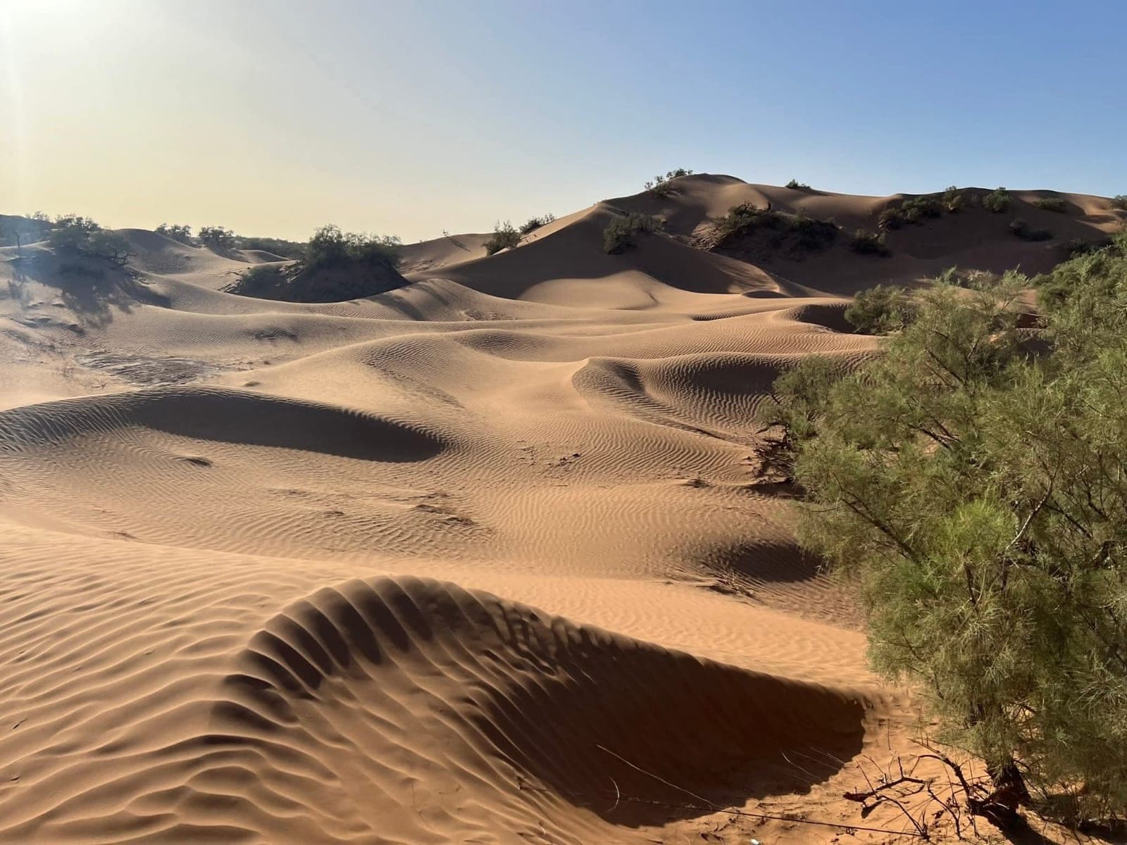 Clima del Sahara marocchino: 43 °C di giorno, quasi zero di notte