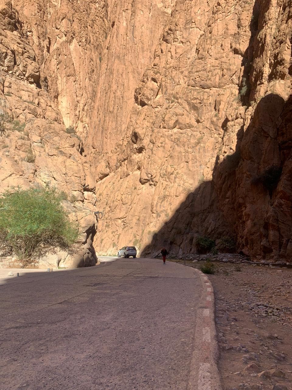 A walker on the canyon floor of the Todra Gorge dwarfed by the red rock walls, Morocco