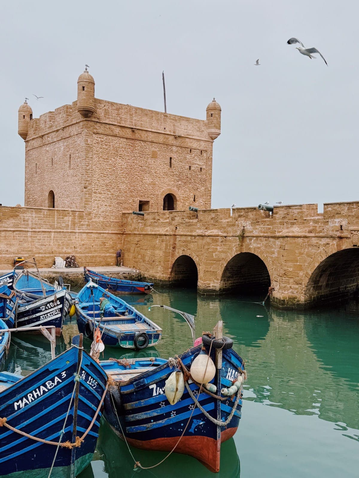 Agadir to Essaouira — Day Trip