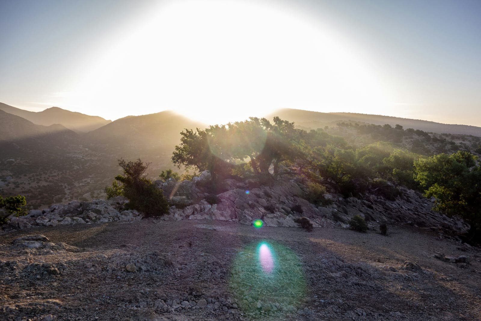 Agadir to Souss-Massa National Park — Wildlife Tour