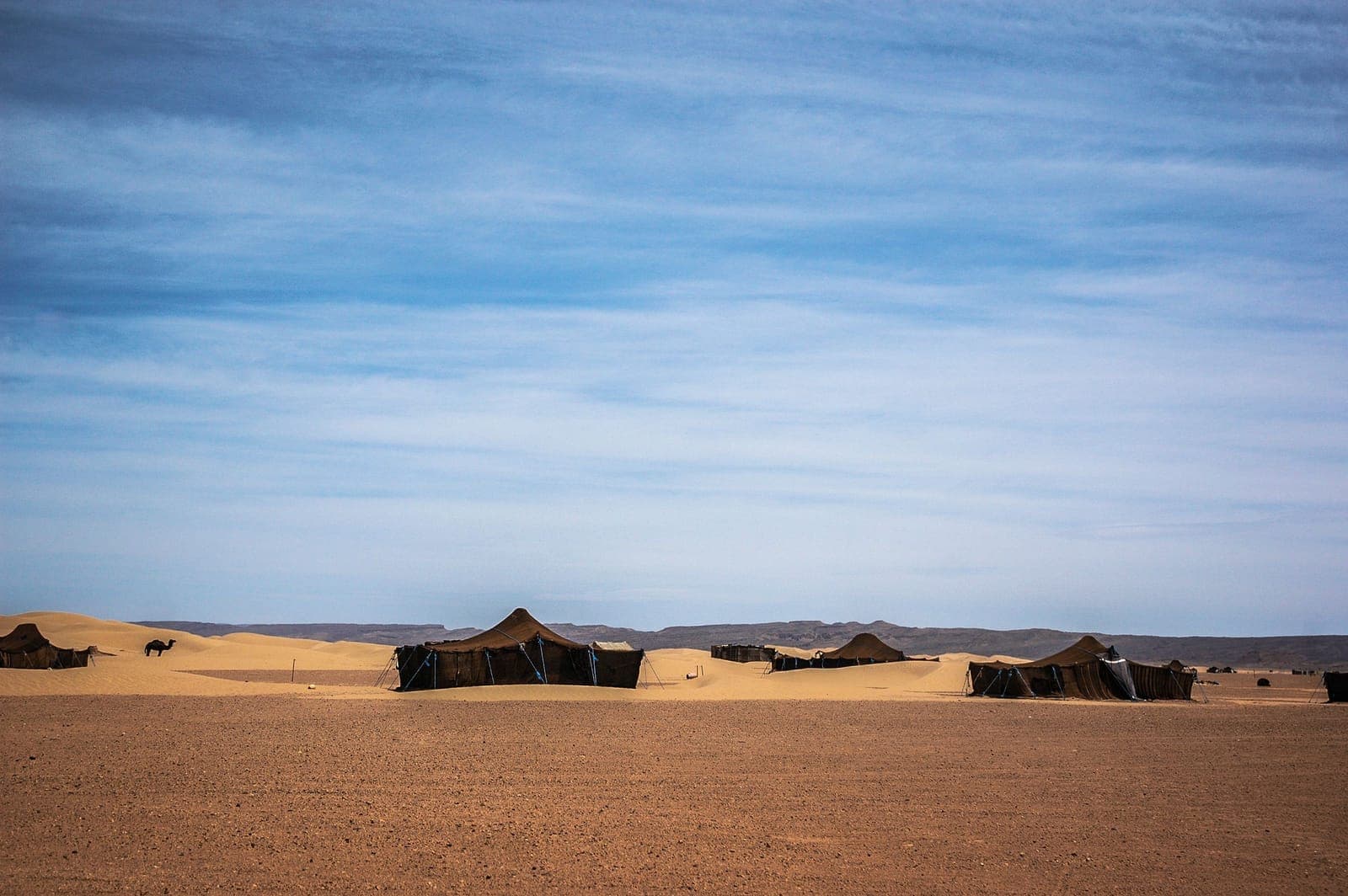 Zagora Desert Guide: The Quick Sahara from Marrakech