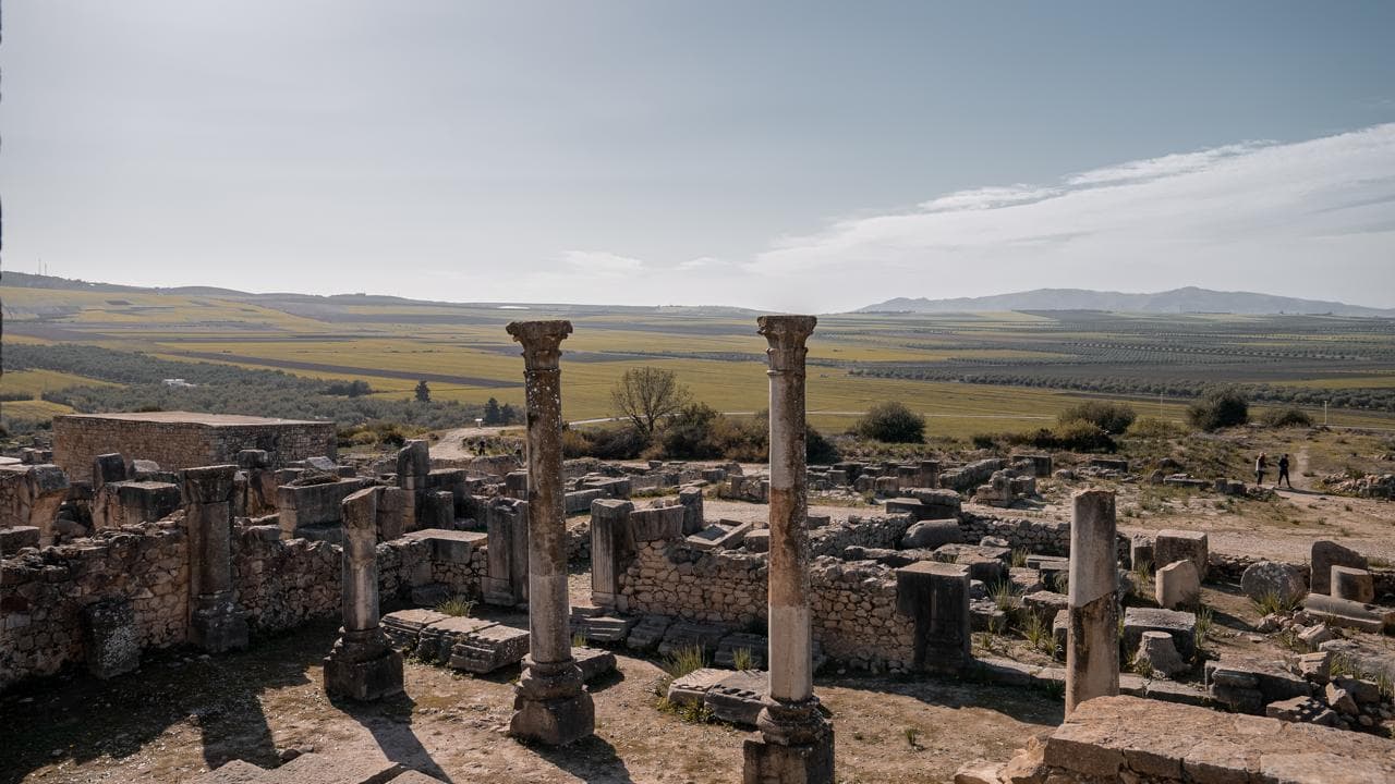 Two standing columns of Volubilis above the olive groves and wheat fields of the Zerhoun plain, Morocco