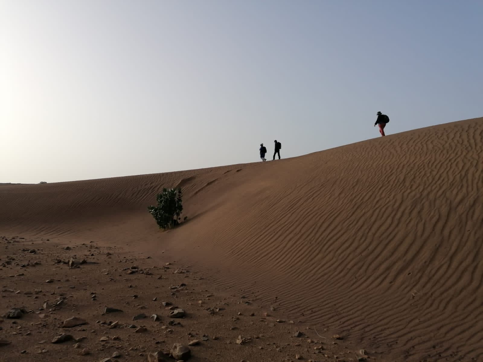 What to Pack for a Morocco Desert Tour