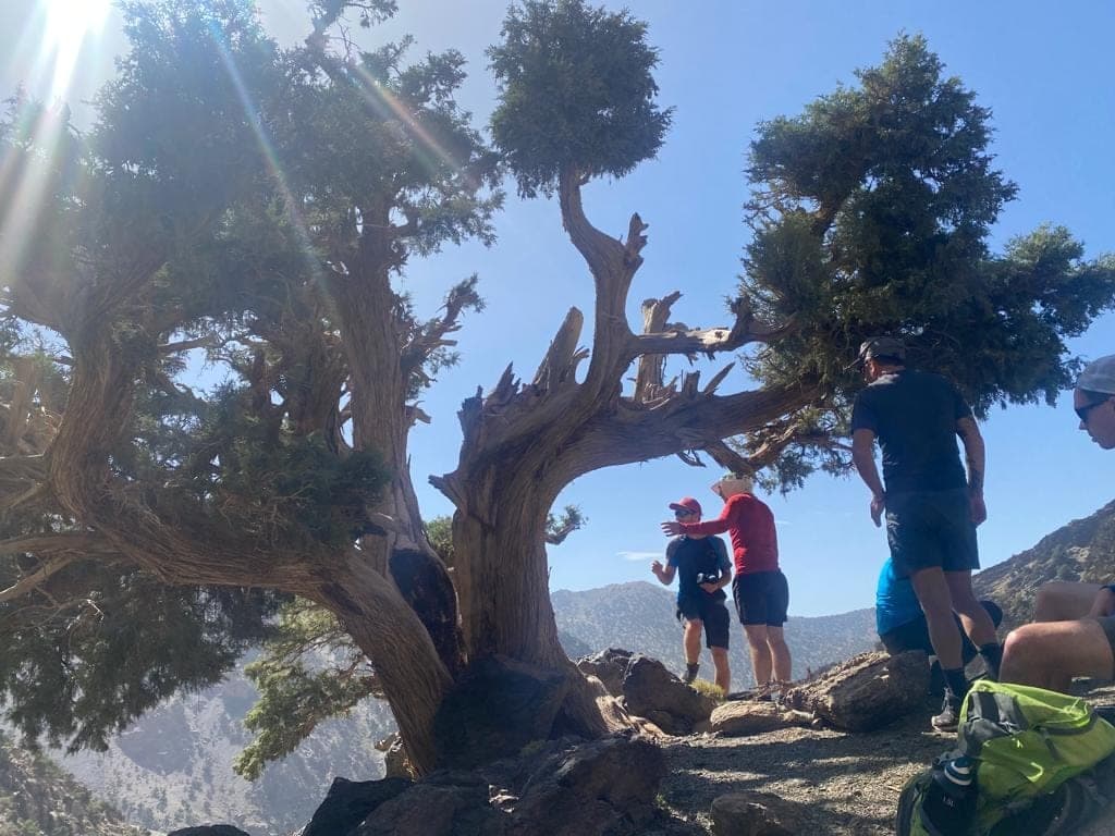 High Atlas Villages from Marrakech — 3-Day Trek