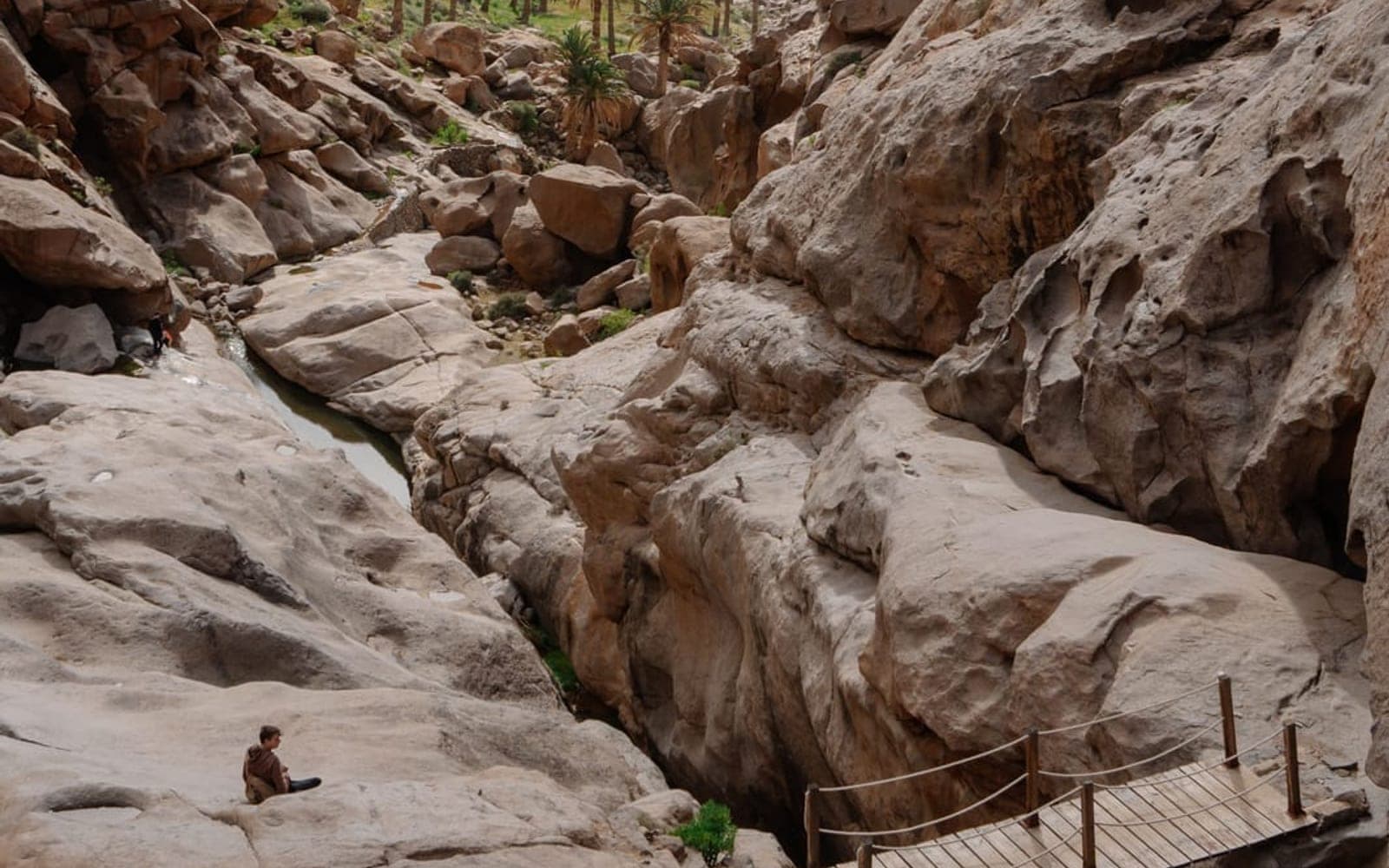 Agadir to Paradise Valley & Immouzer Waterfalls
