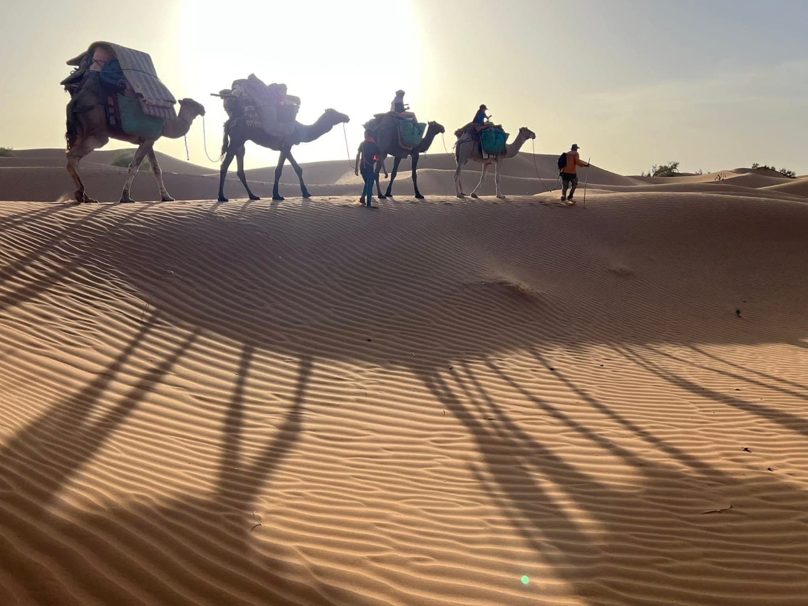 Camel Trekking in the Sahara: What It Is Actually Like (2026)