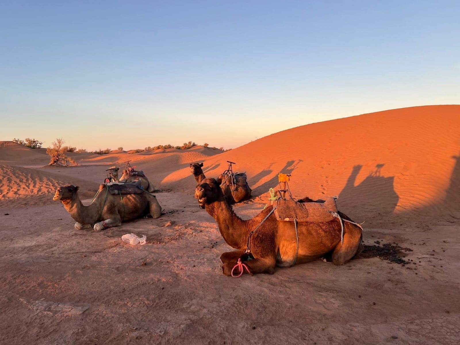 Taking Your Parents to the Sahara: A Desert Tour After 60