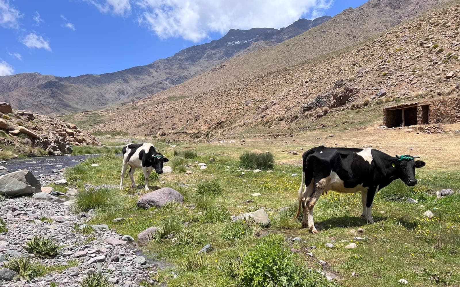 Azzaden Valley from Marrakech — 2-Day Atlas Mountains Trek
