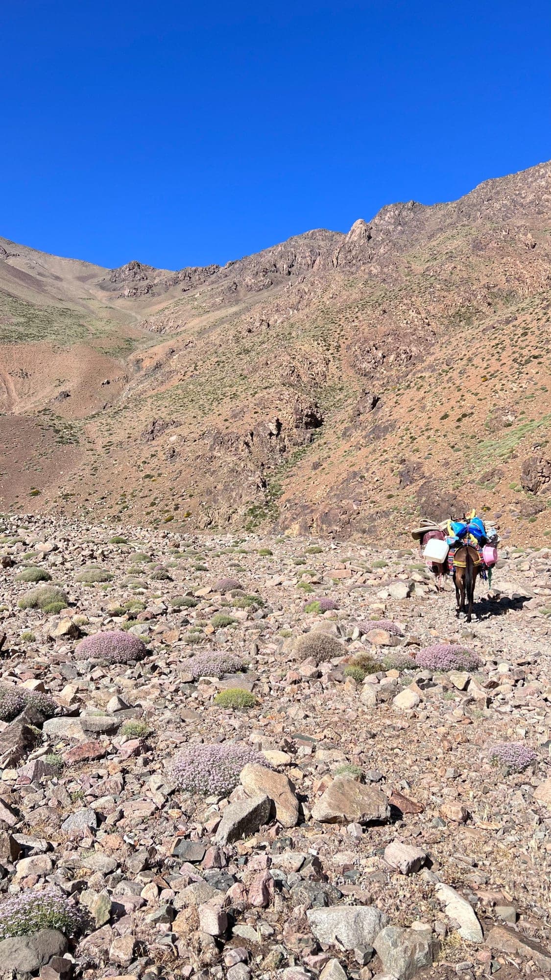 Villaggi dell'Alto Atlante da Marrakech — Trekking di 3 giorni